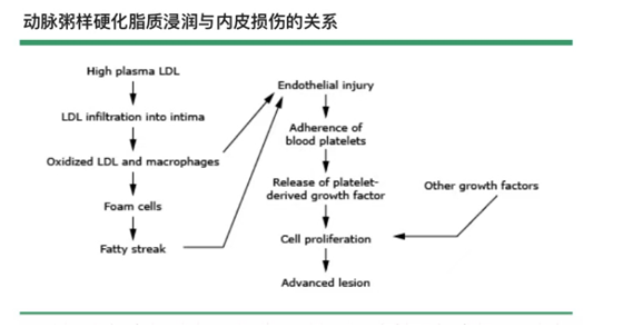 功医案例解析：三个月逆转动脉斑块！